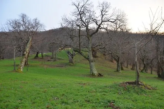 Podere Faeta Villa Roccalbegna Farm stay
